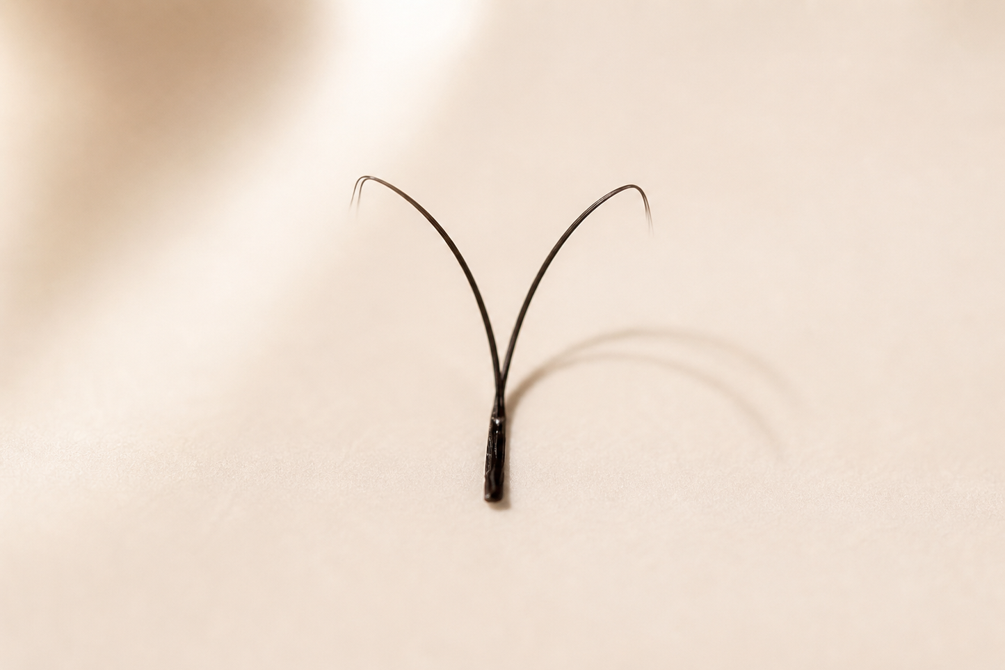 Dark Brown YY Eyelashes Extension Lashes Shaped 0.07 D MIX